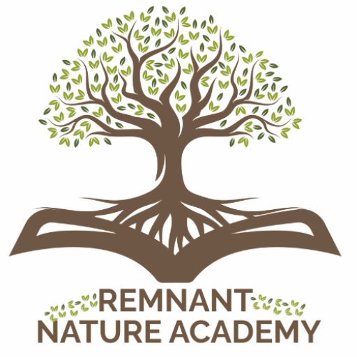 Remnant Nature Academy - forest school in Chicago